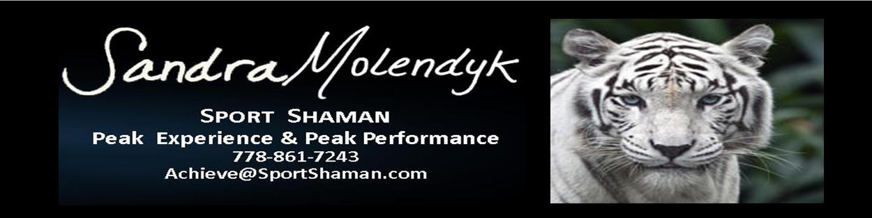 SandraSportShamanLogoWebpage